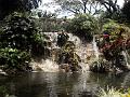 21a - Jardin Tropical 031